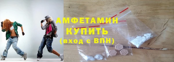 индика Богородицк